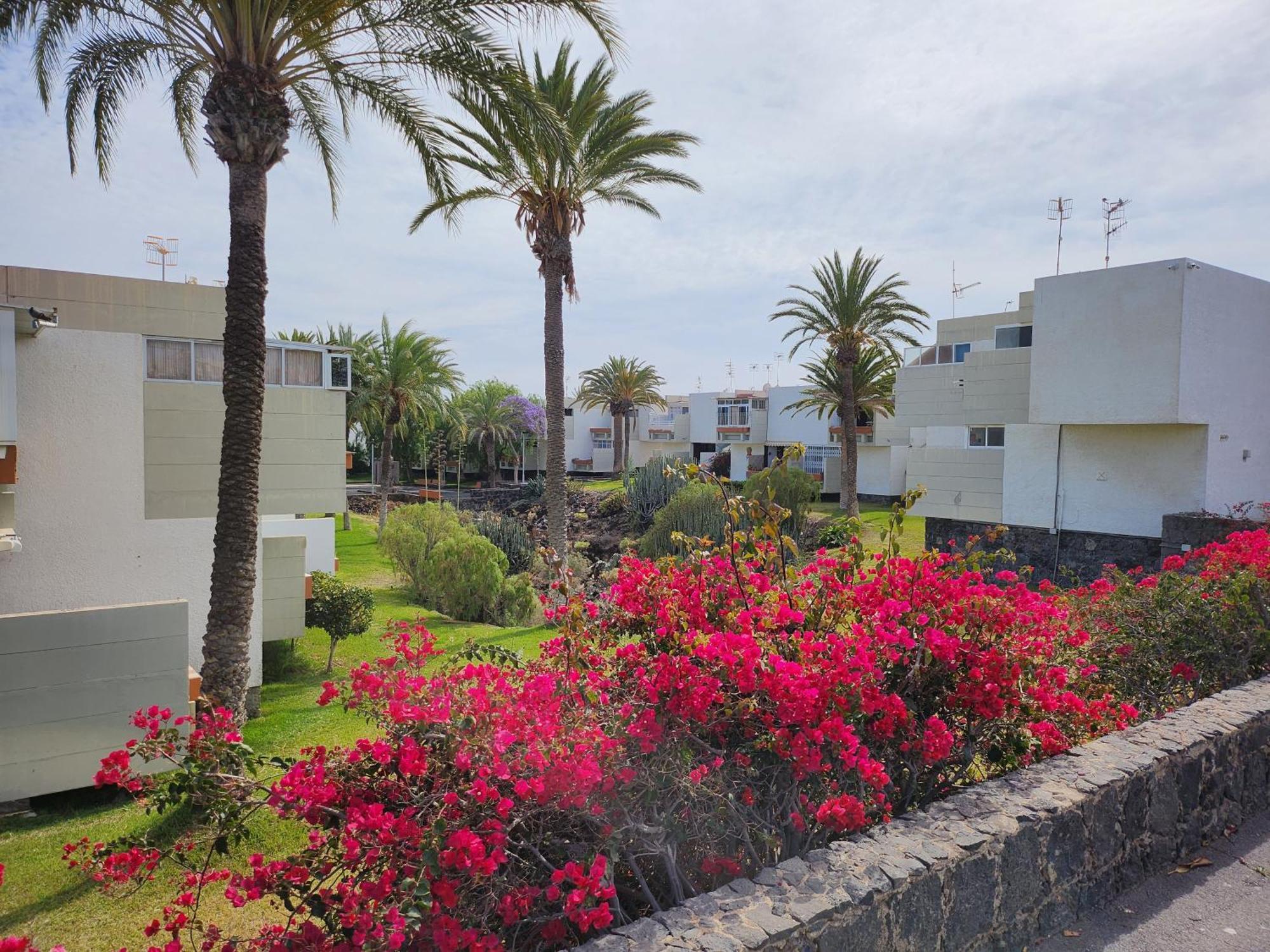 Tenerife Sunshine South Apartment Beach By La Ballena Arona  Buitenkant foto